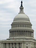 Capitol building in Washington DC