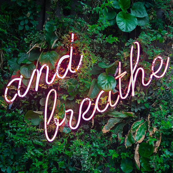 Graphic of wall of plants with neon lights saying "and breathe"